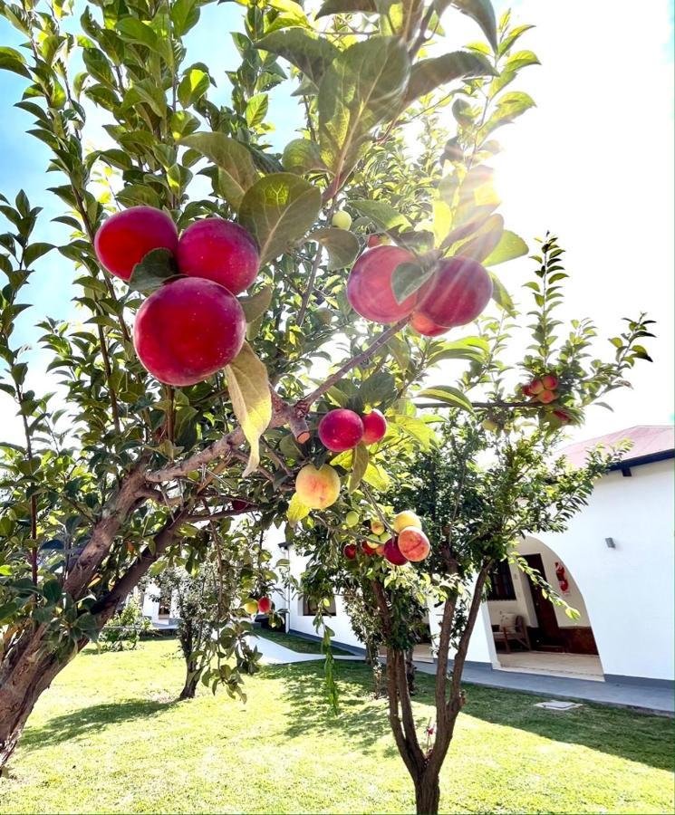 Bella Tilcara Boutique Hotel Экстерьер фото